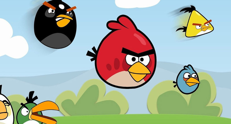 Story of Angry bird in Mh28.in Buldhana